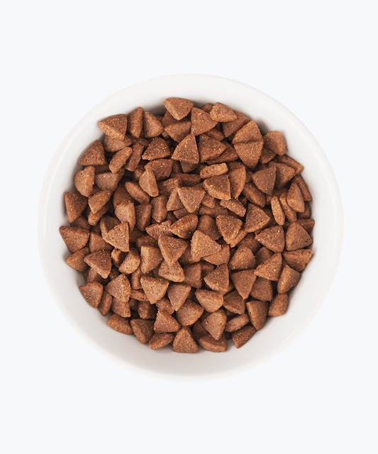 Food for puppy